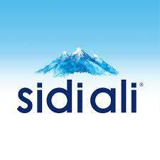 Sidi Ali